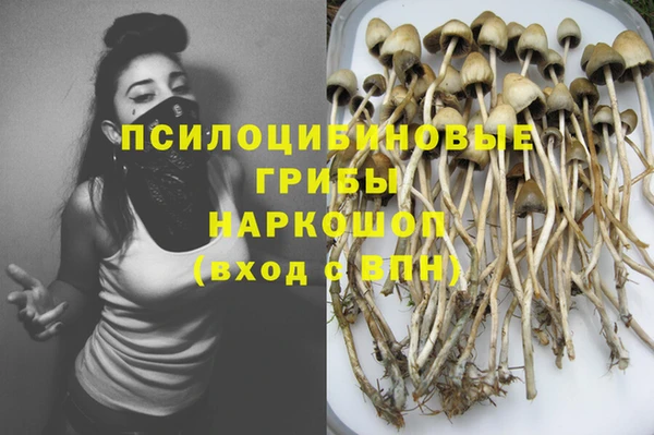 твердый Липки