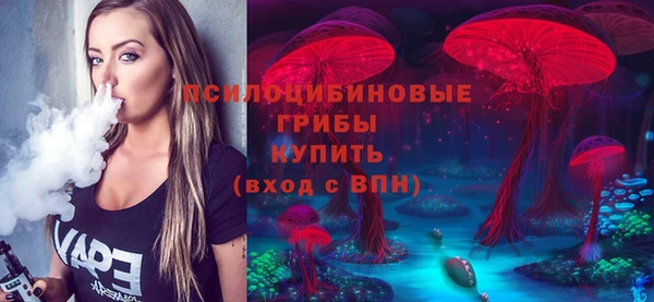 твердый Липки
