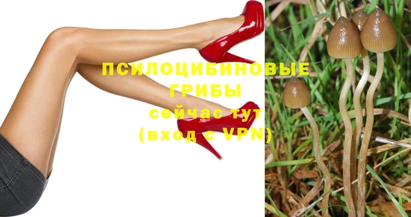 твердый Липки